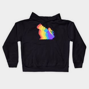 Cat Rainbow Kids Hoodie